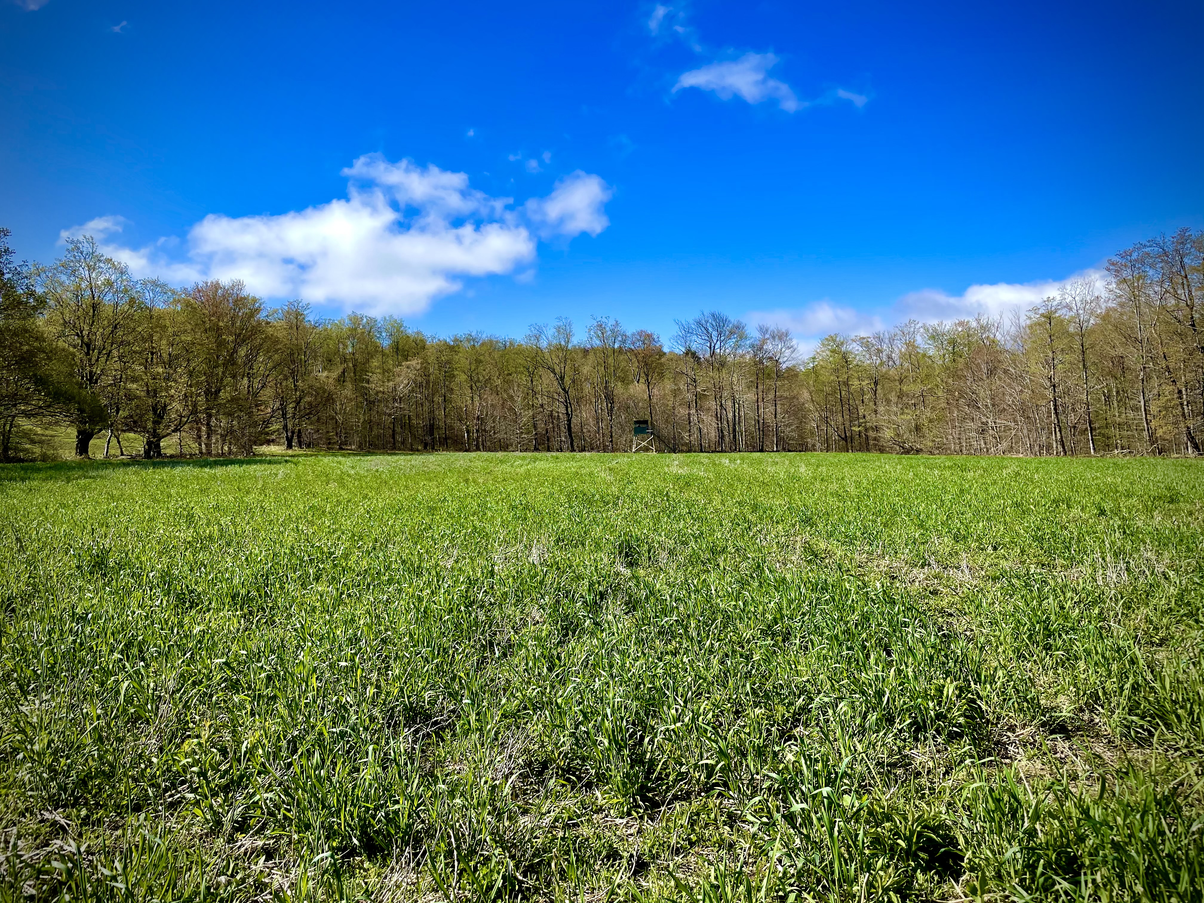 Food Plots